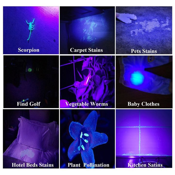 100%20LED%20UV%20Flashlight%20Scorpion%20Detector%20Fluorescence%20Detector%20-%20Image%208