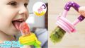 New Baby Food Feeder Soother Teether for Eating Fresh Fruit Vegetables Meat. 