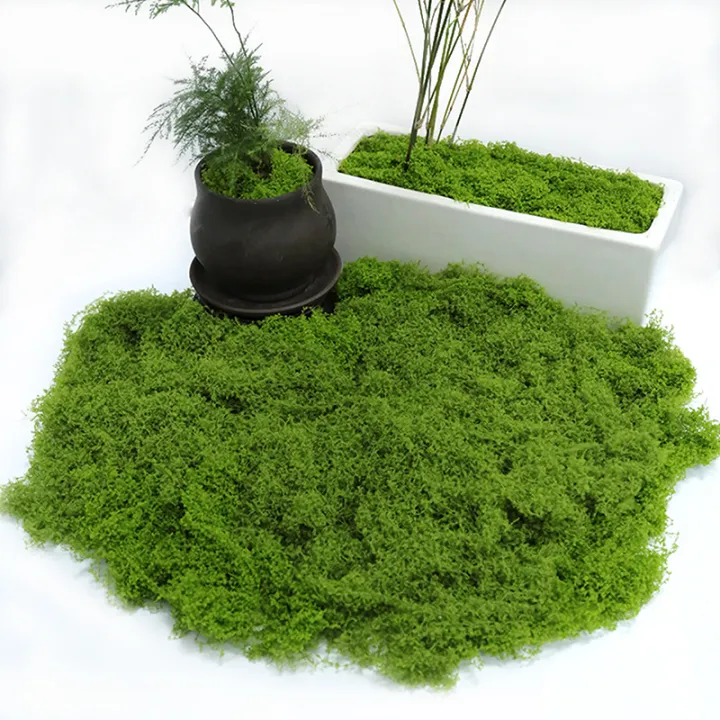 %E3%80%90Exclusive%20Discount%E3%80%91%201PC%20DIY%20Artificial%20Fresh%20Green%20Moss%20Lawn%20Micro%20Landscape%20Silk%20Moss%20Wedding%20Centerpieces%20Garden%20Terrariums%20Decoration%20Moss%20Natuo%20-%20Image%209