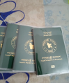 Transparent Passport Cover-1PCS.