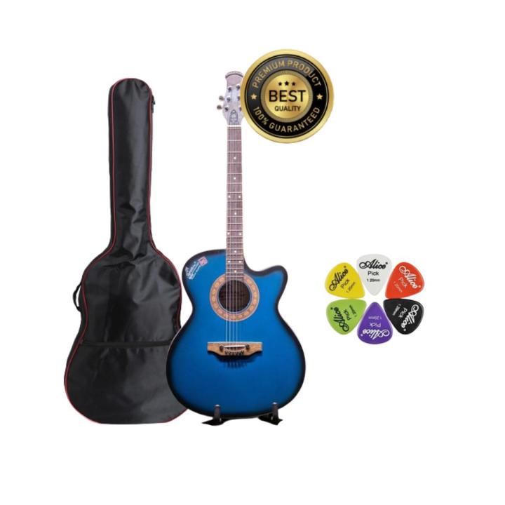 Signture Blue Acoustic Guitar- Blue