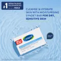 Cetaphil Cleansing & Moisturizing Syndet Bar 100g.