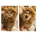 Funnny Lion Mane Wig for Cat Dog Halloween costumes cosplay. 