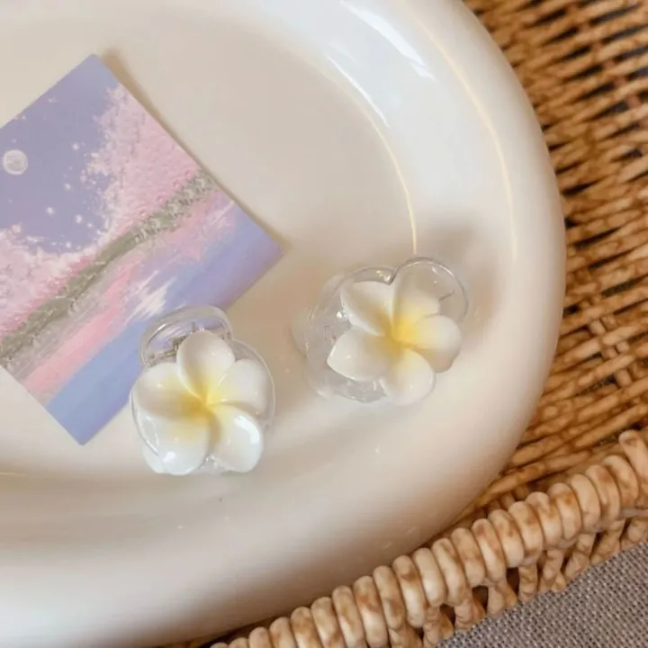 Fashion%20Cute%20Frangipani%20Hair%20Clip%20Transparent%20Jelly%20Color%20Simple%20Ponytail%20Hairpin%20Hair%20Accessories%20Headwear%20Barrettes%20Girls%20-%20Image%203