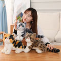 1pc 26CM Lovely Simulation Cat Peluches Toy Stuffed Soft Pet Cat Dolls Kawaii Animal Plush Toys for Children Kids Birthday Decor.