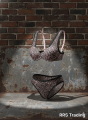 Women's Push-Up Underwire Bra & Panty Set - WildCat, Soft Cup, Comfortable Lingerie.