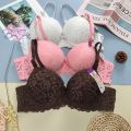 Soft Comfortable Net Pushup Foam Bra for Sexy Women.