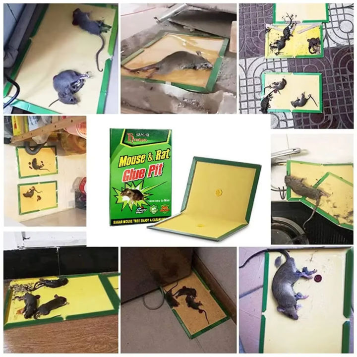 1/3/5PCS%20Mouse%20Board%20Sticky%20Rat%20Glue%20Mouse%20Trap%20Glue%20Board%20Mice%20Catcher%20Trap%20Non-toxic%20Pest%20Control%20Reject%20Mouse%20Killer%20Rat%20Traps%20-%20Image%207