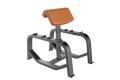 Professional Preacher Curl Duel Functions MND-F96. 