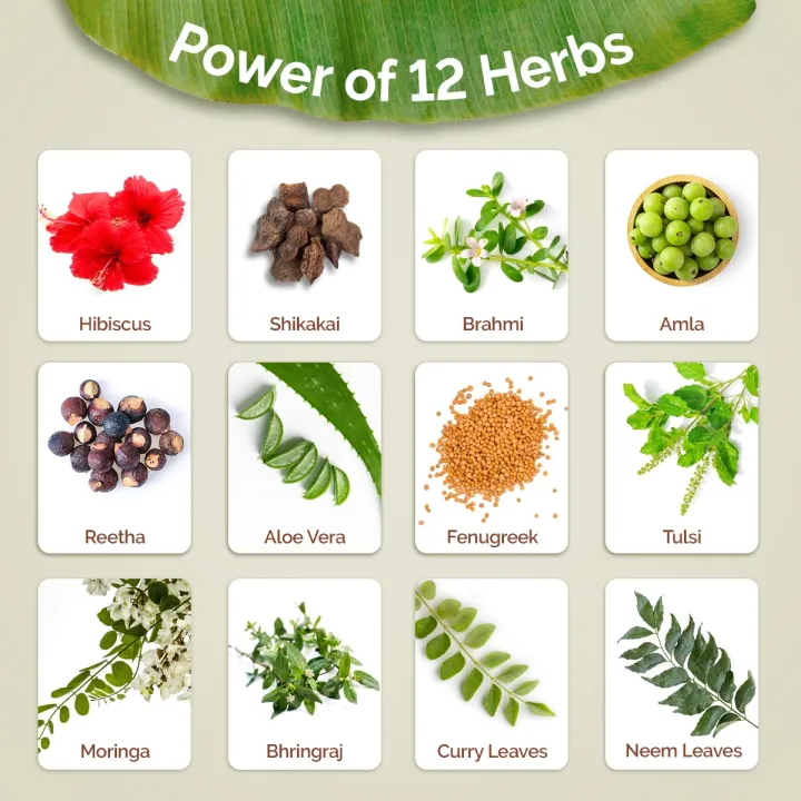 Mamaearth%20Kerala%20Thaali%20Hair%20Oil%20with%20Hibiscus,%20Bhringraj,%20Methi%20Dana%20&%20Amla%20for%20Thick%20&%20Long%20Hair%20-%20150%20ml%20%7C%20Stimulates%20Hair%20Growth%20%7C%20Nourishing%20Thali%20%7C%20100%25%20Natural%20Herbs%20%7C%2012%20Potent%20Herbs%20-%20Image%202