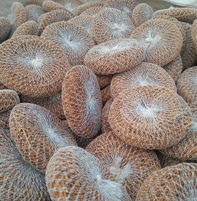 Scrubber%20Organic%20Round%20Shower%20Loofah%20&%20Bath%20Sponge%20-%20Body%20Brush%20-%20Image%202