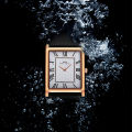 IBSO /Episino Authentic Watch Light Luxury Square Student Quartz Men's Watch Business and Leisure 2232. 
