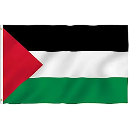 Palestine%20National%20Flag%203ft%20x%202ft%20-%20Image%202