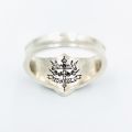 Anime Katekyo Hitman Reborn Ring Vongola Famiglia Cosplay Rings Unisex Prop Accessories Jewelry Gift. 