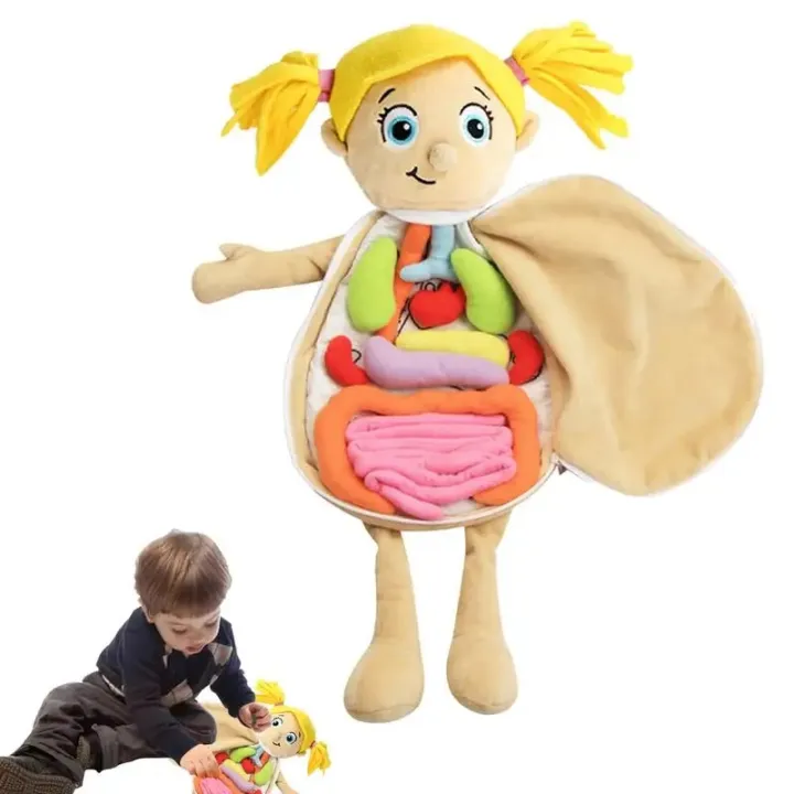 Halloween 3D Organ Stuffed Toy Body Structure Puzzle Doll Soft Plush Doll Physiological Educational Toy For Kids Home School TeachingDolls Accessories