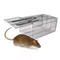 Rat Catching Stainless Steel Trap. 