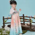 Chinese girl's brand new super immortal baby dress, big children's ancient style Hanfu autumn. 