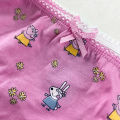 Pack of 5 Teen Girls Soft Jersey Cotton Printed Briefs Panties From Levin. 