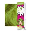 Streax Professional Hold and Play Funky Hair Colour Perky Green (100gm). 