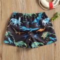 2021 Summer Kids Baby Boy Beach Shorts 0-4Y Toddler Dinosaur/Leaf/Tortoise Print Drawstring Shorts Bottom Holiday Beach Swimwear. 