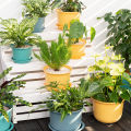 er Pot Durable Strong Construction Bright-colored Pot.