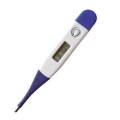 Digital Thermometer.
