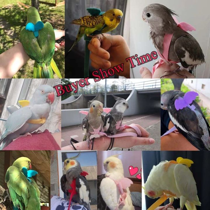 Pet%20Parrot%20Bird%20Harness%20Leash%20Adjustable%20Bird%20Flying%20Training%20Rope%20for%20Pigeons%20Macaw%20Cockatiel%20Budgie%20Strap%20Bird%20Training%20Toy%20-%20Image%206