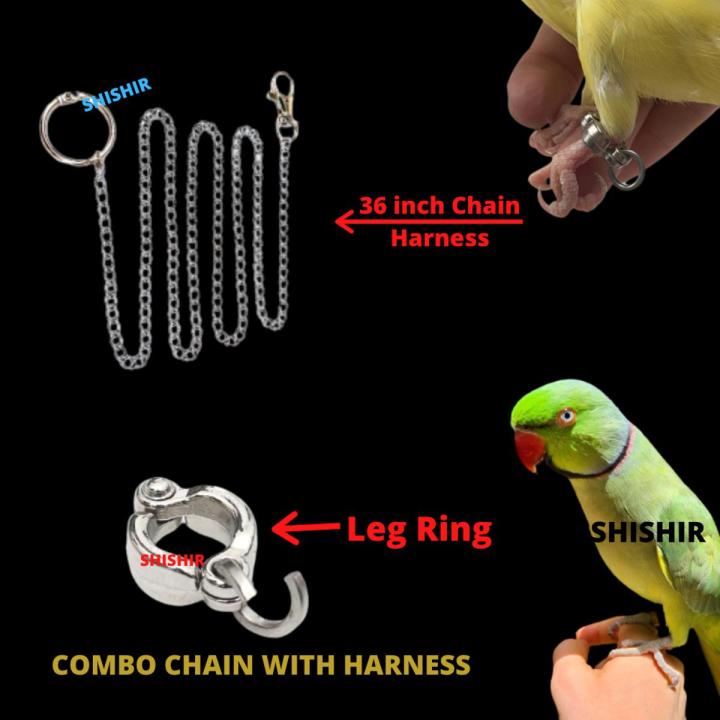 Chain Harness Leash & anklet ring {combo pack} for ringneck parrot 7mm size
