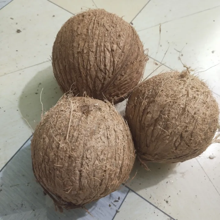 Dry%20Coconut%20Seed%201%20peices%20800gm-1000gm%20Big%20size%20-%20Image%204