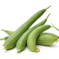 Nifty Niche - 2 type of hybrid vegetable seeds intake packet combo. Dhundol, jhinga Total 2 packet. - Tools, DIY & Outdoor.