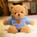 Sweater Bear Plush Toy Teddy Bear Doll Bear Doll Crane Machine Dressing Bear Rag Doll Wholesale Set LOGO. 