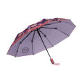 Auto World Class Open Umbrella (10 Sikh) -[Multicolor Umbrella] - Umbrella. 