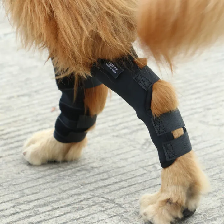 Pet%20Legguard%20Knee%20Pad%20Cover%20Protective%20Cover%20Teddy%20Dog%20Surgical%20Injury%20Fixed%20Dog%20Feet%20Golden%20Retriever%20Large%20Dog%20Leg%20Protector%20-%20Image%206