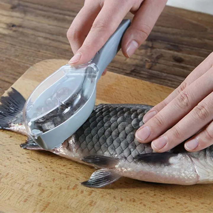 Fish%20Clean%20Scales%20with%20Cover%20fish%20scaler%20scraper%20remover%20fish%20skin%20brush%20scraping%20fishing%20-%20-%20Image%204