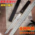 Premium Stainless Steel Slim Knife with Protective Case. 