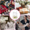 10Pcs Transparent Gift Bags with Handles Waterproof PVC Shopping Bags for Jewelry Candy Perfume Christmas Gift Wedding Easy to Use 25 X 16 X 8cm.
