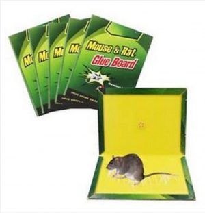 Mouse Rat Bond Traps Green Killer China (1 Pcs)