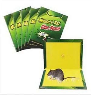 Rat%20Bond%20Traps%20Green%20Killer%20China%20(1%20PSC%20to%206PCS)%20-%20Image%204