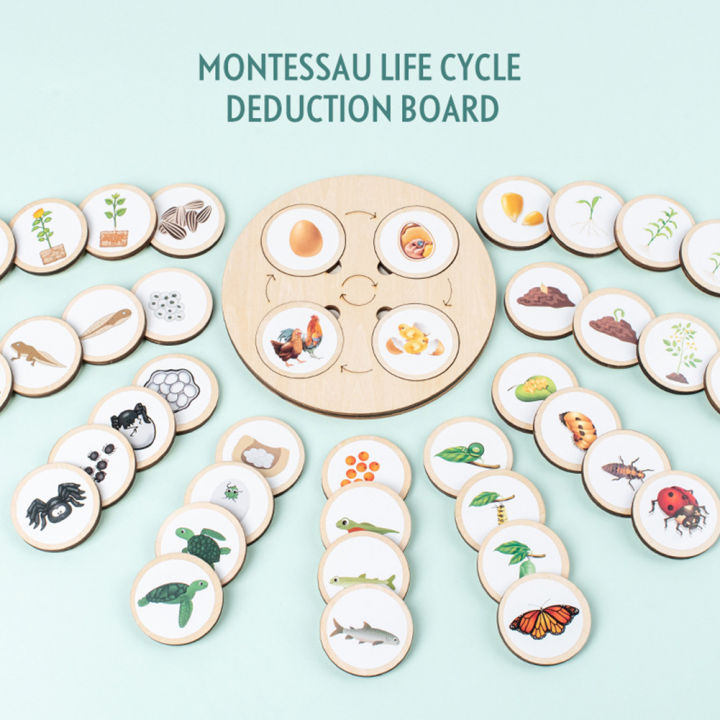 Life%20Cycle%20Board%20Animal%20Plant%20Life%20Cycle%20Wooden%20Jigsaw%20Puzzle%20Biology%20Science%20Education%20Toys%20Teaching%20Aids%20-%20Image%203