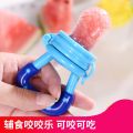 Baby Fresh Food Feeder.