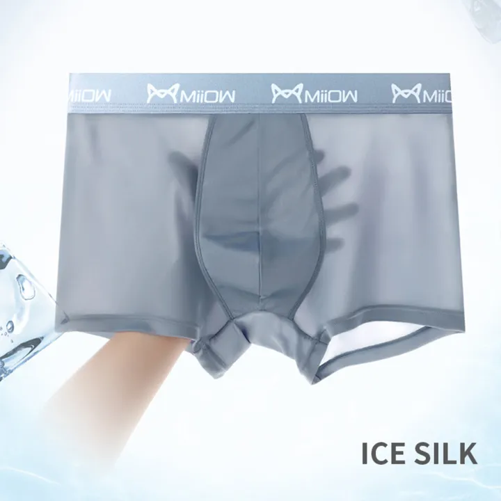 MiiOW%20Summer%20Boxer%20Shorts%20for%20Men%20-%20Breathable%20Polyester%20Mesh%20Style%20with%20Transparent%20Design%20-%20M1020%20-%20Image%203