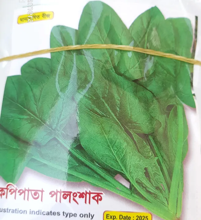 Kopi Leaf Spinach (কপি পাতা পালং শাক)- Wt- 2 Gram Seed