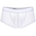 Boxer Men Gay Underwear Ice Silk transparent Mesh Homme Breathable Cuecas Masculinas Calzoncillos Hombre Slip Boxershorts. 