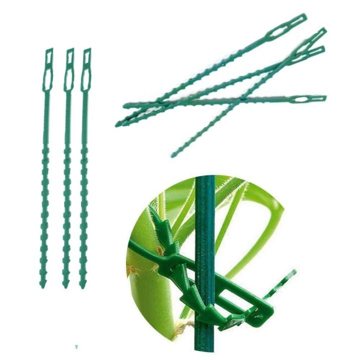 Reusable%20Gardening%20tool%20Plastic%20Shrubs%20Fastener%20Plant%20Cable%20Ties%20Tree%20Climbing%20Support%20Gardening%20Fishbone%20Ties%20-%20Image%204
