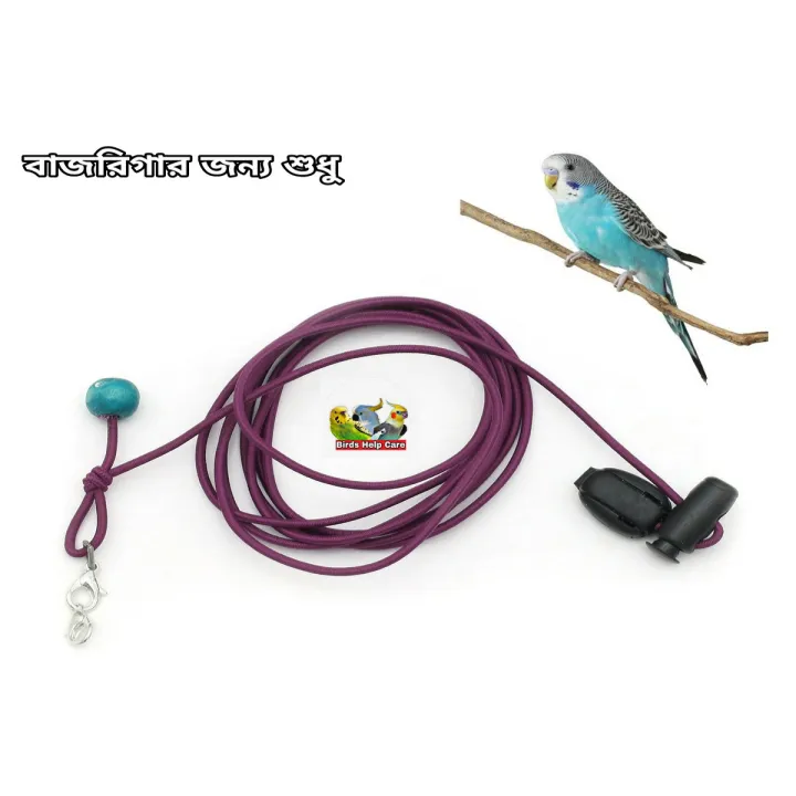 Bird Chain Birds Leg Chain For Small All Birds Flying | Daraz.com.bd