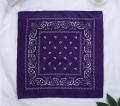 Fashion Hip Hop 100% Cotton Bandana Square Scarf 54cm*54cm Black Red Paisley Headband Printed For Women/Men/Boys/Girls.