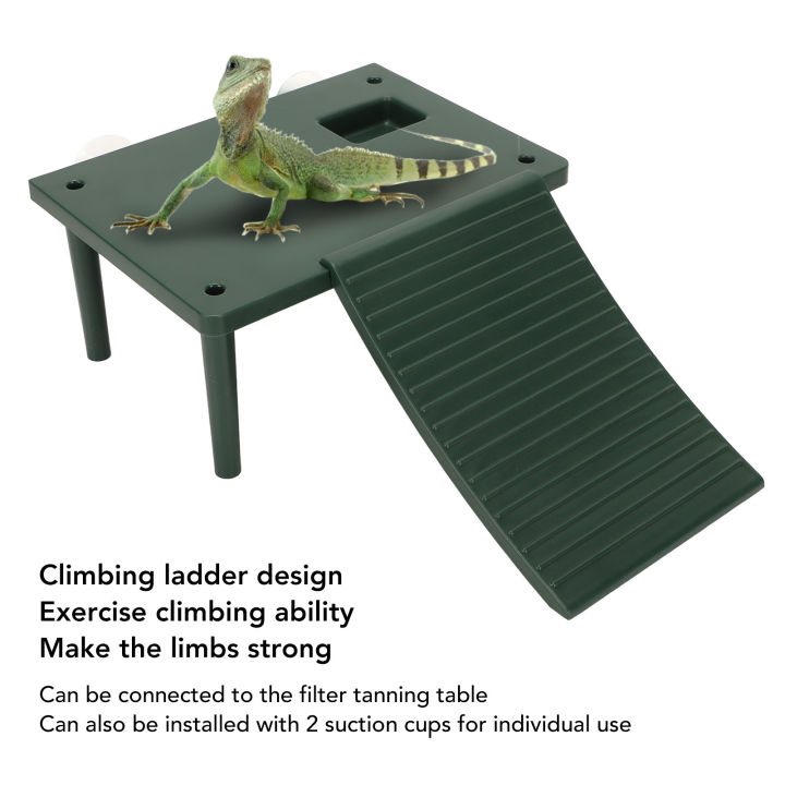 Tortoise%20Resting%20Terrace,%20Exercise%20Climbing%20Ability%20Green%20Turtle%20Basking%20Platform%20for%20Low%20Water%20Level%20Turtle%20Tank%20-%20Image%203