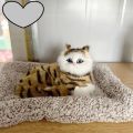 Cute cat plush toy doll Soft cat doll simulation kitten pillow. 