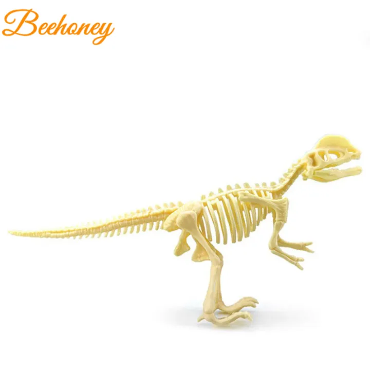 Diy%20Dinosaur%20Skeleton%20Model%20Toy%20Dinosaur%20Building%20Blocks%20Ornaments%203d%20Assembly%20Educational%20Toys%20For%20Kids%20-%20Image%202