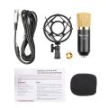 FIFINE F-700 Professional Condenser Sound Recording Microphone with Shock Mount for Studio Radio Broadcasting & Live Boardcast, 3.5mm Earphone Port, Cable Length: 2.5m.